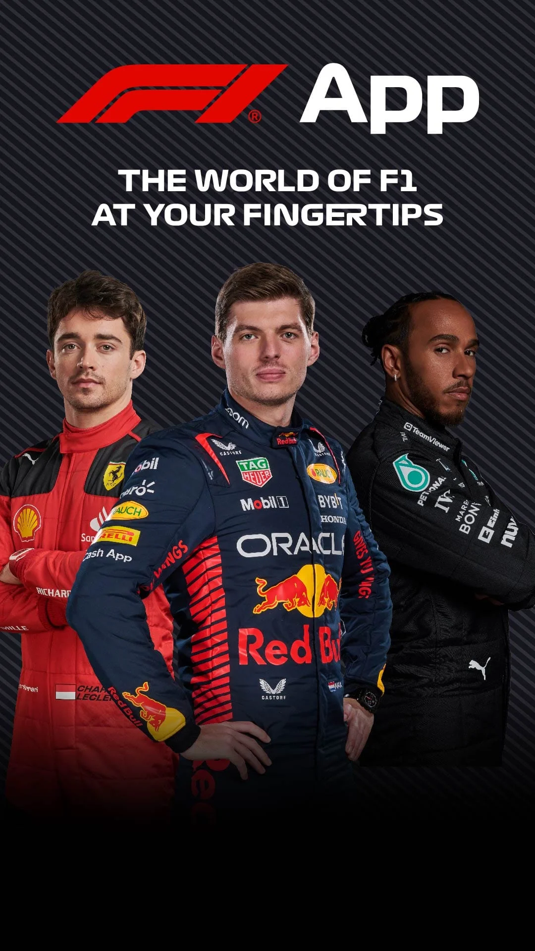 Formula 1® Screenshot 1